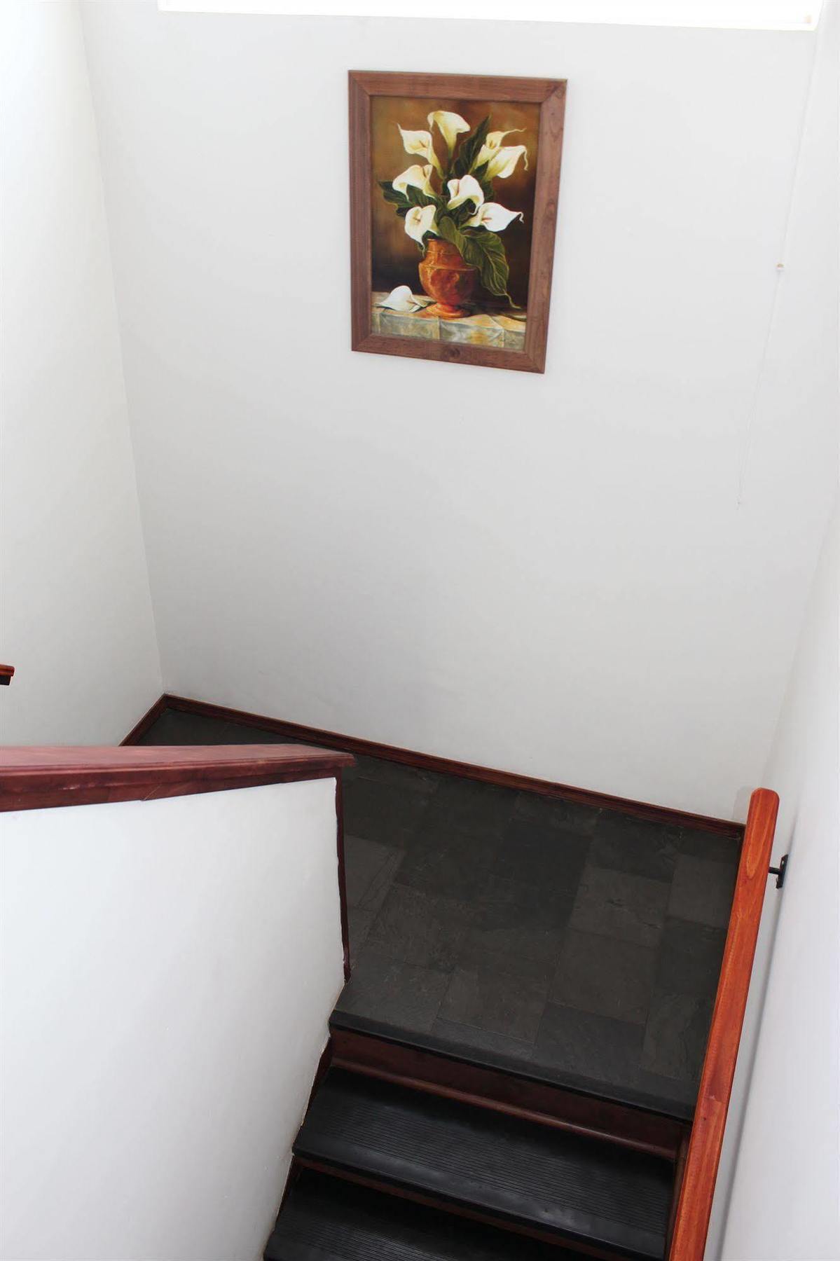 Hotel Bello Temuco Exteriér fotografie